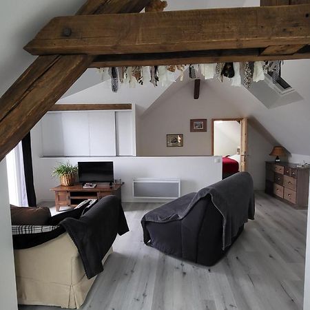 Apartament Au Gre De L'Ill "Les Toits D'Horbourg" Zewnętrze zdjęcie