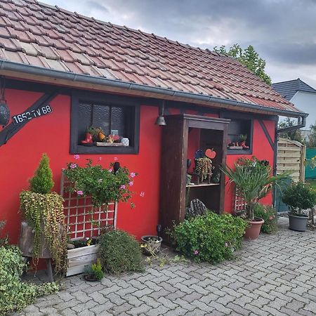 Apartament Au Gre De L'Ill "Les Toits D'Horbourg" Zewnętrze zdjęcie