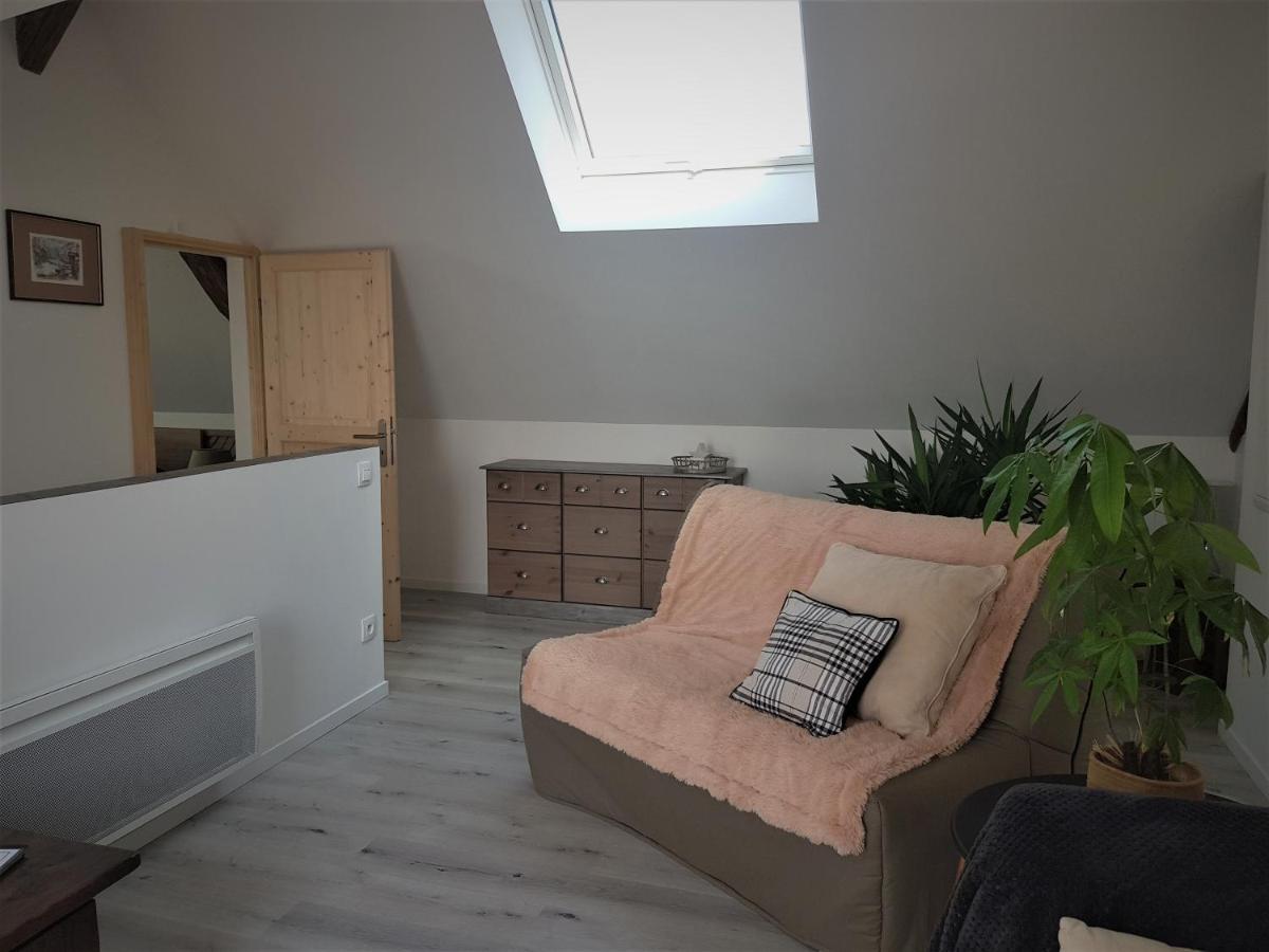 Apartament Au Gre De L'Ill "Les Toits D'Horbourg" Zewnętrze zdjęcie