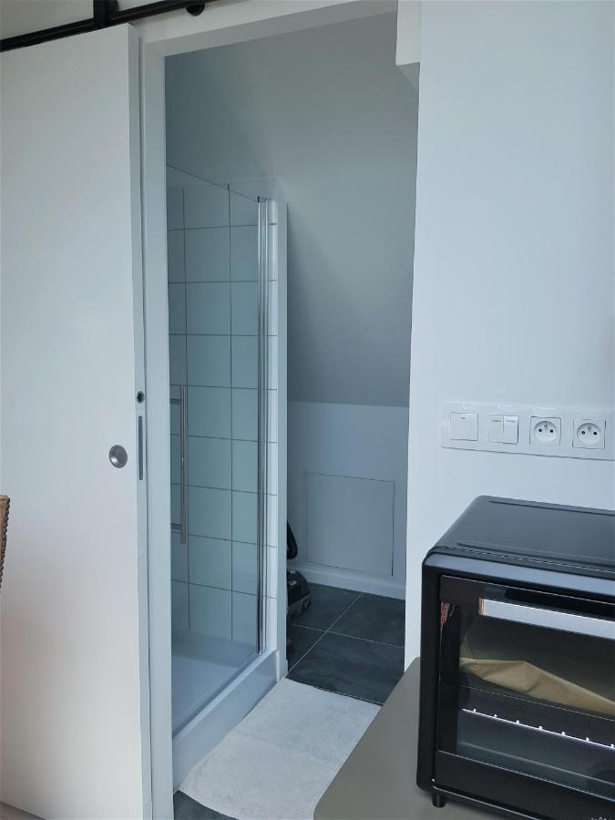 Apartament Au Gre De L'Ill "Les Toits D'Horbourg" Zewnętrze zdjęcie