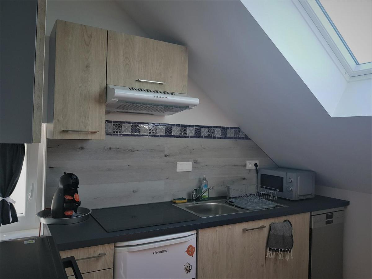 Apartament Au Gre De L'Ill "Les Toits D'Horbourg" Zewnętrze zdjęcie