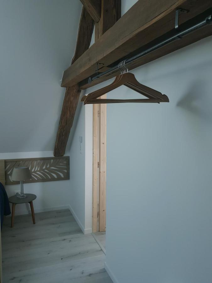 Apartament Au Gre De L'Ill "Les Toits D'Horbourg" Zewnętrze zdjęcie