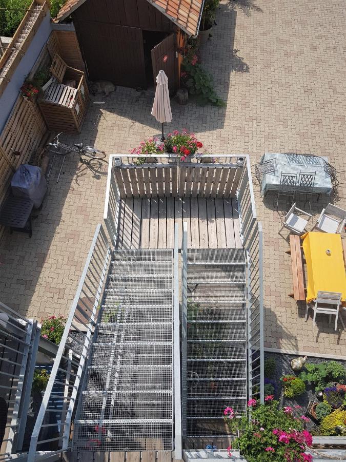 Apartament Au Gre De L'Ill "Les Toits D'Horbourg" Zewnętrze zdjęcie