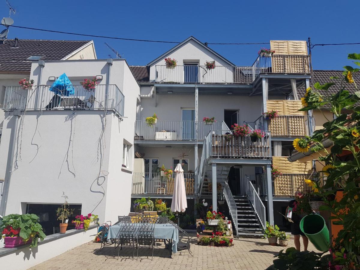 Apartament Au Gre De L'Ill "Les Toits D'Horbourg" Zewnętrze zdjęcie