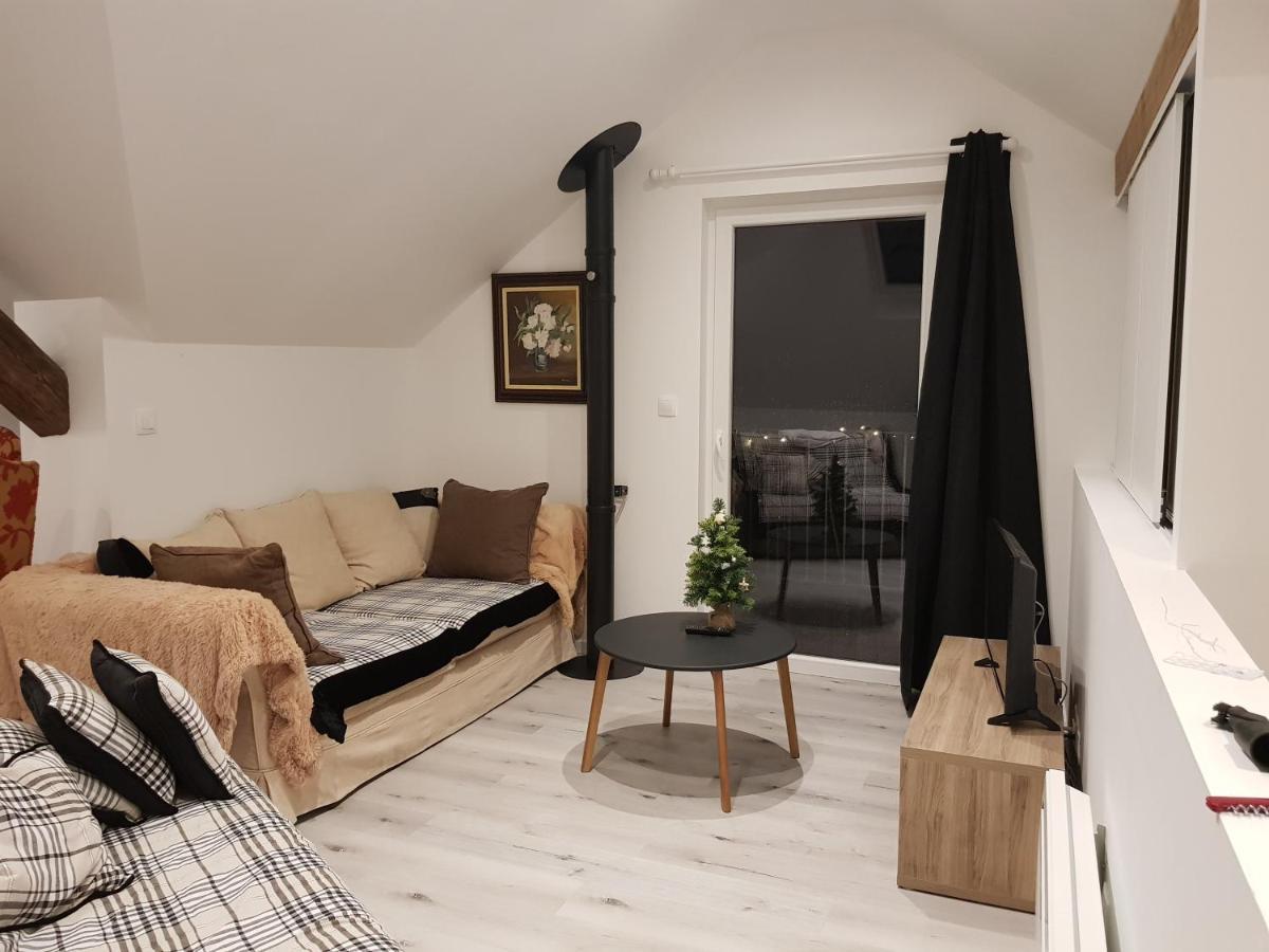 Apartament Au Gre De L'Ill "Les Toits D'Horbourg" Zewnętrze zdjęcie