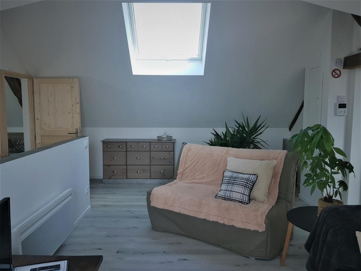 Apartament Au Gre De L'Ill "Les Toits D'Horbourg" Zewnętrze zdjęcie