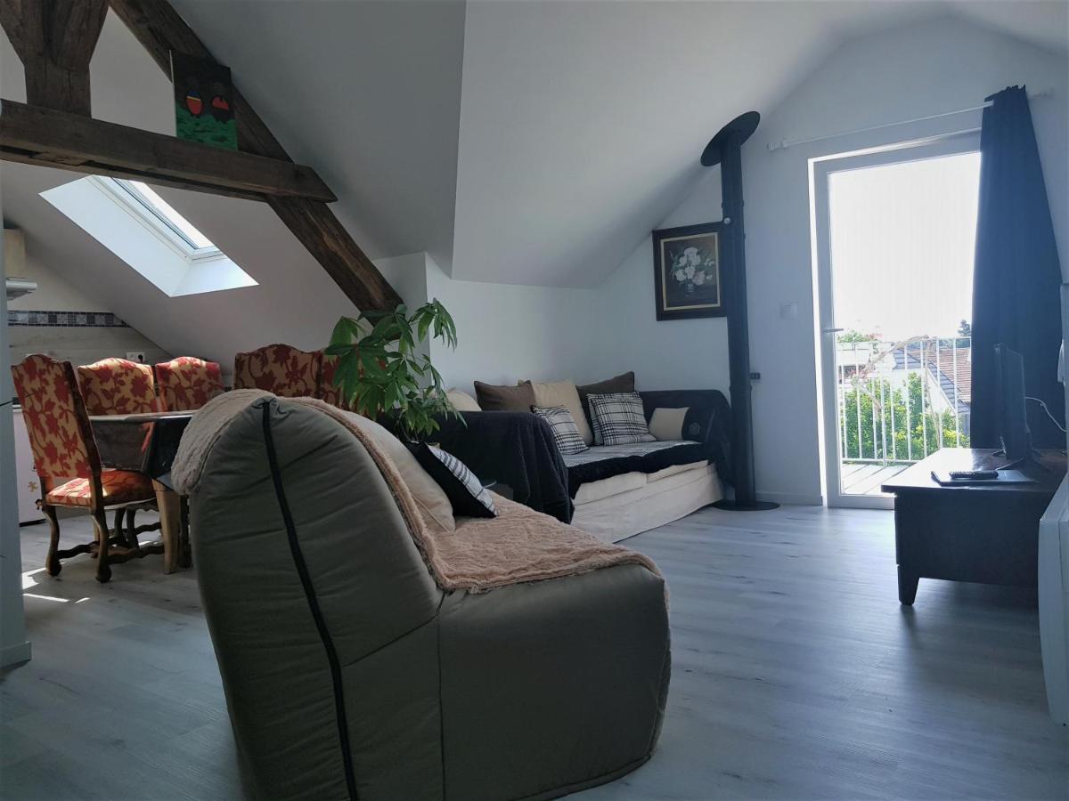 Apartament Au Gre De L'Ill "Les Toits D'Horbourg" Zewnętrze zdjęcie