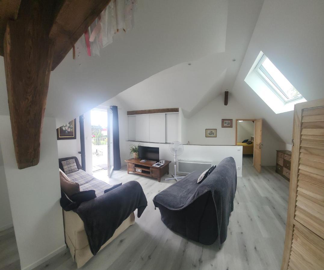 Apartament Au Gre De L'Ill "Les Toits D'Horbourg" Zewnętrze zdjęcie
