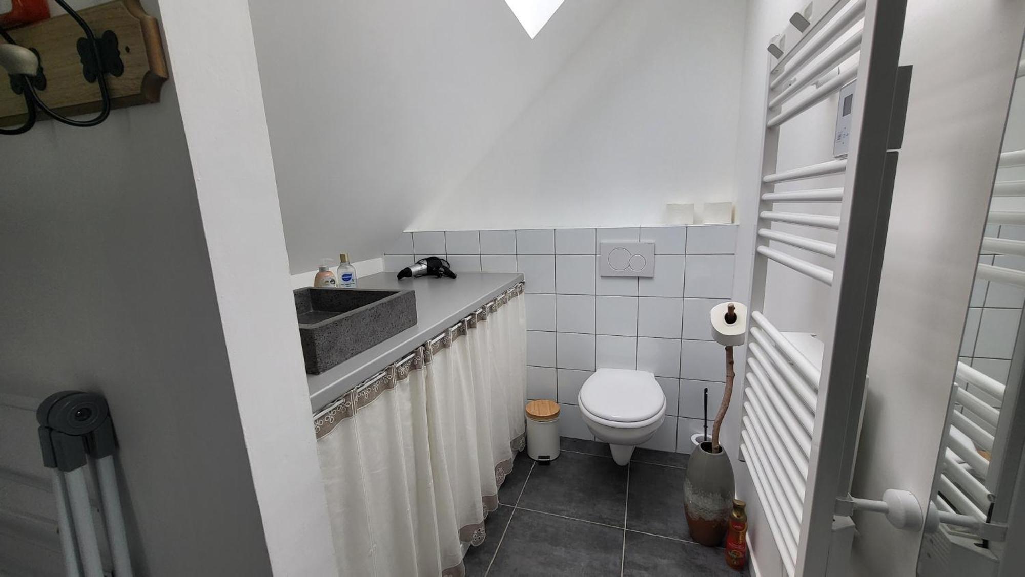 Apartament Au Gre De L'Ill "Les Toits D'Horbourg" Zewnętrze zdjęcie