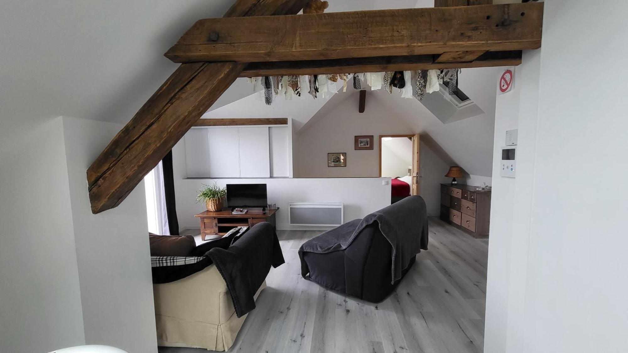 Apartament Au Gre De L'Ill "Les Toits D'Horbourg" Zewnętrze zdjęcie