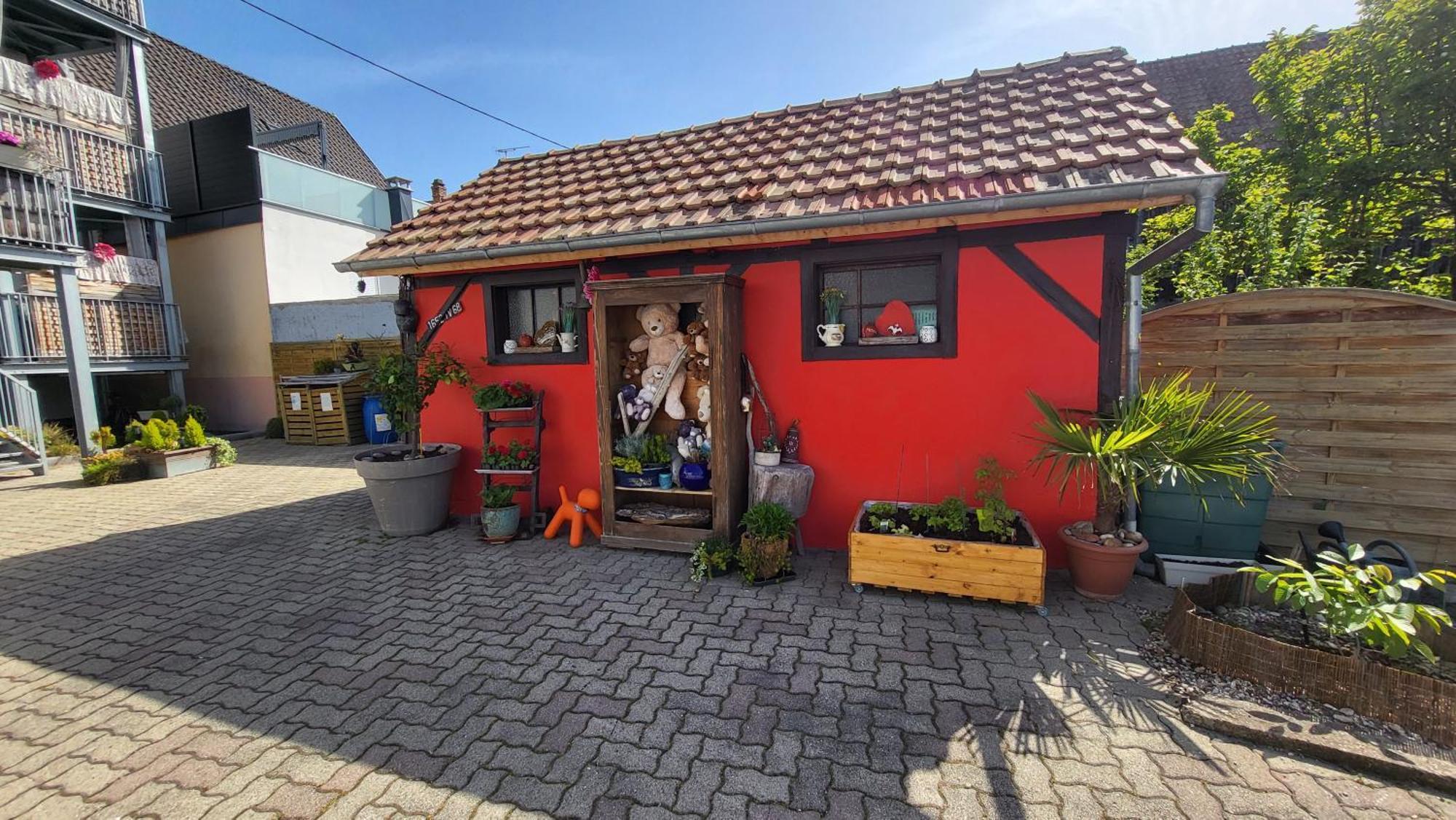 Apartament Au Gre De L'Ill "Les Toits D'Horbourg" Zewnętrze zdjęcie