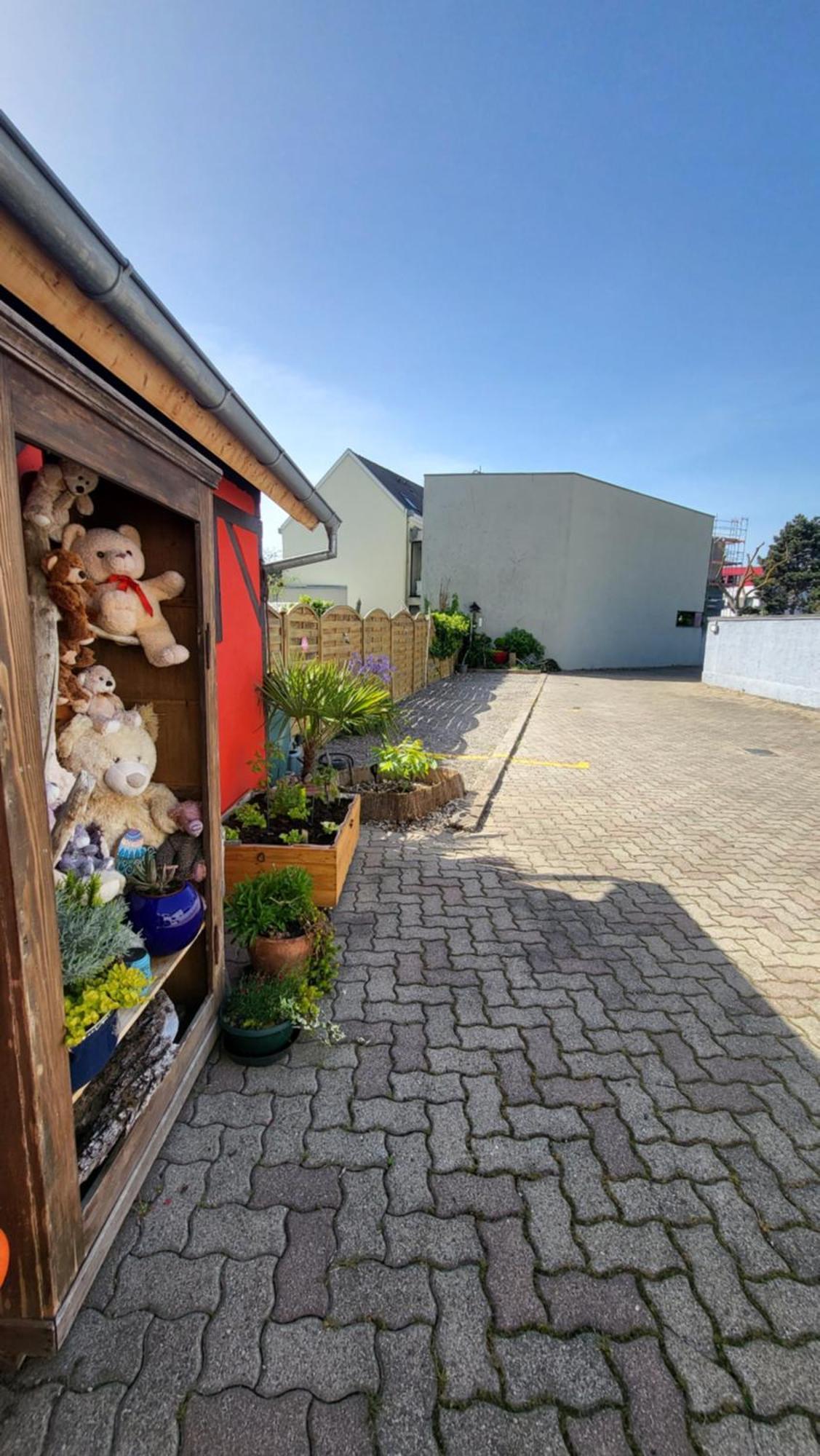Apartament Au Gre De L'Ill "Les Toits D'Horbourg" Zewnętrze zdjęcie